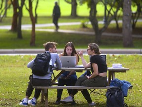 Michael Vassiliev, 19, Michelle Mair, 18 and Daliah Bibas, 20, try to get some biology work done outside Western Universitys Middlesex College on a picnic table while enjoying the mild weather in London, Ont.  Photograph taken on Tuesday October 8, 2019.  Mike Hensen/The London Free Press