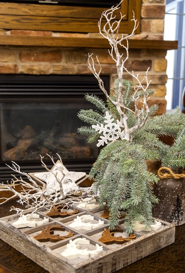 Christmas home tour for the Rotary Club Tour of Homes east of St. Thomas, at the home of Jim & Carol Wiebe.  Decorator Jaclyn McClenaghan of Berry Hill. Mike Hensen/The London Free Press/Postmedia Network