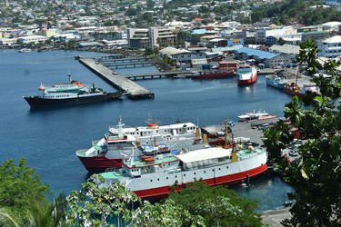 Great views are around every corner on a road tour of St. Vincent.

St. Vincent and the Grenadines 2019
BARBARA TAYLOR THE LONDON FREE PRESS/POSTMEDIA NEWS