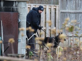 London police Const. Aaron Adams and search dog Vino scour the yards of homes around Southdale Road and Millbank Drive on Monday morning. There was a heavy police presence in the area after shots were fired in nearby townhouse complex on Sunday night. (DALE CARRUTHERS, The London Free Press)