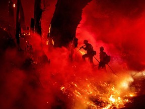 Firefighters work to control flames from a backfire during the Maria fire in Santa Paula, California on November 1, 2019. (Photo by Josh Edelson / AFP)