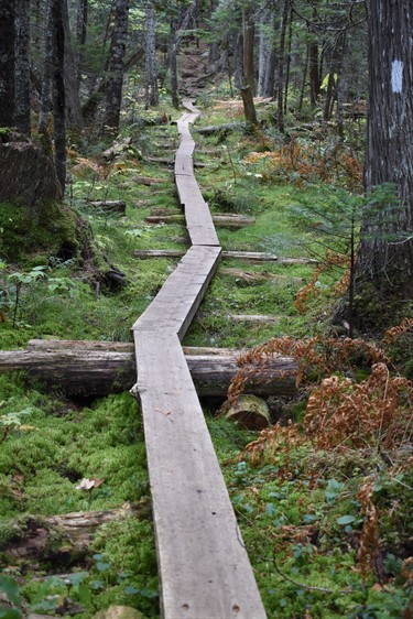 Hikers are required to walk the plank in Maine's 100 Mile Wilderness, the longest stretch of wilderness  along the 2,190-mile trail. 
IAN NEWTON/Special to Postmedia News
Appalachian Trail 2019