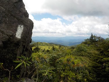 It's a  hiker's delight to traverse a mix of tropical trees and eastern woodlands in the Grayson Highlands of Virginia. The boulder's white blaze indicates the AT continues straight ahead.
IAN NEWTON/Special to Postmedia News
Appalachian Trail 2019
