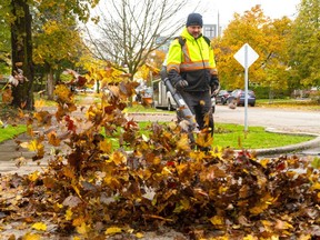 Billy Jamieson of Birchcrest Landscape blows a mass of leaves on Grosvenor Street in London. Photograph taken on Friday, November 1, 2019.  (Mike Hensen/The London Free Press)