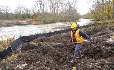 Mark Michalak of J-AAR Excavating grabs shovels full of soil to stabilize their silt fence they have erected to keep dirt from being washed into the north branch of the Thames River. Construction is well on its way for the two new multi-use pathway bridges being built to link up the path near Western with those on Adelaide Street. Once completed cyclists will be able to ride from Highbury Ave in the north near Kilally Road, all the way to Byron, without needing to use more than a few blocks of quiet roads.  Photograph taken on Monday November 4, 2019.  Mike Hensen/The London Free Press/Postmedia Network