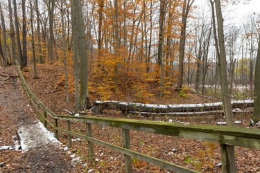 Several trails in Westminster Ponds start right on the grounds of the Westminster Ponds Centre, making it a perfect jumping-off point for exploring the more than 400 acres of land that's mostly publicly owned. Photograph taken on Sunday November 10, 2019. 
Mike Hensen/The London Free Press/Postmedia Network