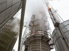 Steam billows off of the Robson family corn dryer located outside Ilderton north of London on Thursday, Nov. 28, 2019. Since the rail strike has ended they've been going full steam ahead trying to dry the wet crop, with their 25 million BTU dryer using about $8,000 worth of propane a day. The harvest is about three weeks behind, said Jamie Robson, while Adam Robson said they'll be harvesting till January. The corn has about 30 per cent moisture and must be dried down to 15 to 16 per cent moisture before it can be shipped. Jamie Robson said after the wet spring, and so-so summer, "at least the yield is good, with no vomitoxin." (Mike Hensen/The London Free Press)