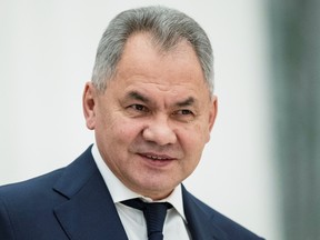 Russia's Defence Minister Sergei Shoigu.  Pavel Golovkin/Pool via REUTERS