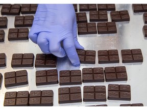 Marijuana-infused chocolates are sorted at Indiva in London. The 10-gram chocolate contains 10 milligrams of tetrahydrocannabinol (THC), the psychoactive component in cannabis. The product will be on sale at cannabis retail outlets in mid-December. (Derek Ruttan/The London Free Press)