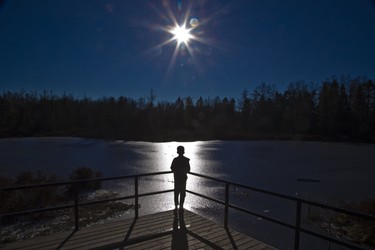 Alejandro Bonilla, 11, gazes upon the pond at the Sifton Bog in London on Friday January 4, 2019. "It reminds me of my home when I used to live in Colombia where there are many beautiful lakes," he said. (Derek Ruttan/The London Free Press)
