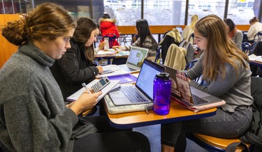 Alyssa Anglin of Kingston, Stephanie Dunbar of Victoria and Morgan Loyst of Vancouver are united in studying for their 3rd year BMOS exam at Western University. (Mike Hensen/The London Free Press)