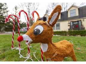 A playful Rudolph adorns Allison Francis's McClure Drive front yard because, she says, her kids like the Christmas movie. (MIKE HENSEN, The London Free Press)