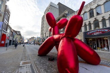 A huge inflatable balloon dog waits patiently on London's Dundas Place flex street hoping for crowds as the new sections between Richmond and Wellington streets were closed for a celebration. (Mike Hensen/The London Free Press)