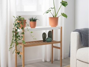 Creating a healthy home is as simple as a bookshelf or stand with easy-care plants. Satsumas Bamboo Plant Stand, Ikea