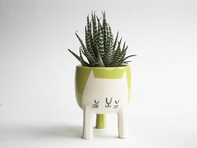 Chartreuse cat planter by Beardbangs Ceramics. Photo credit: Beardbangs Ceramics for The Home Front: Going green for 2020 by Rebecca Keillor [PNG Merlin Archive]