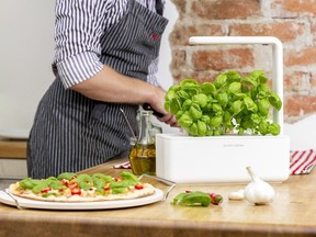 This indoor growing station is compact, efficient and looks great on the kitchen counter. The Smart Garden 3, $100, www.clickandgrow.com