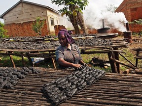 A worker lays out biochar to dry in the sun. Biochar is ideal for capturing and retaining water, oxygen and nutrients, while providing an ideal home for a multitude of beneficial soil microbes.