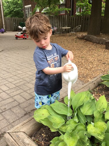 Gardening is a popular practical life activity for Montessori Academy of London’s Casa students. In Montessori Casa (ages 3-6), students learn about caring for their environment: their desk and workspace, classroom and the world that surrounds them, including nature.