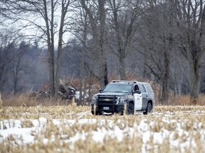 A member of the OPP  protects the integrity of a suspected crime scene where human remains were discovered on a Mall Drive property at Jackson Side Road in Tillsonburg, Ont. on Thursday January 2, 2020. It is unclear whether the remains were found in the corn field or an adjacent wood lot. Derek Ruttan/The London Free Press/Postmedia Network
