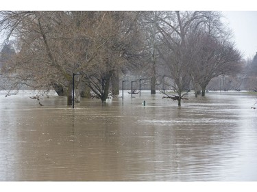 The Thames River flooded Harris Park in London after record amounts of rain fell over the weekend. Water remained high on Monday. (Derek Ruttan/The London Free Press)