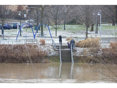 The Thames River has risen half way up the stairs that lead to a dock at the forks in London on Monday after record amounts of rain fell over the weekend. (Derek Ruttan/The London Free Press)