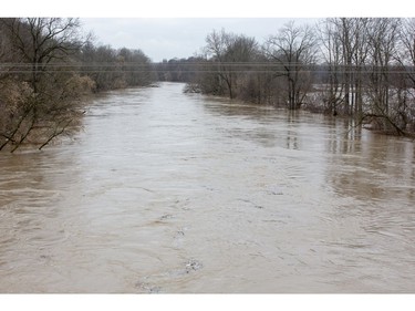 The Thames River spilled its banks north of Dutton after record amounts of rain fell over the weekend.  Water remained high on Monday. (Derek Ruttan/The London Free Press)