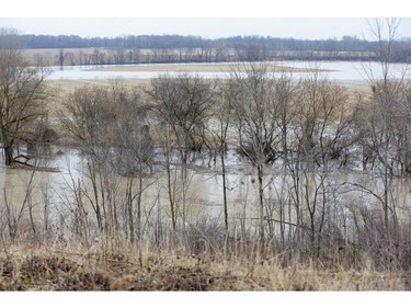 The Thames River spilled its banks at Wardsville after record amounts of rain fell over the weekend. Water remained high on Monday. (Derek Ruttan/The London Free Press)