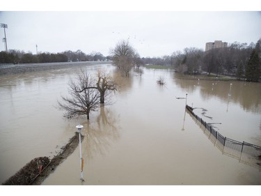 The Thames River spilled its banks, flooding Harris Park in London, after record amounts of rain fell over the weekend. Water remained high on Monday. (Derek Ruttan/The London Free Press)