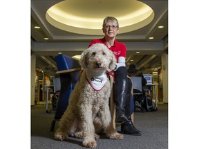 St. John Ambulance therapy dog volunteer Becky Campbell and Jasper offer their services at the Central library in London. Photo taken on Monday January 27, 2020. (Derek Ruttan/The London Free Press)