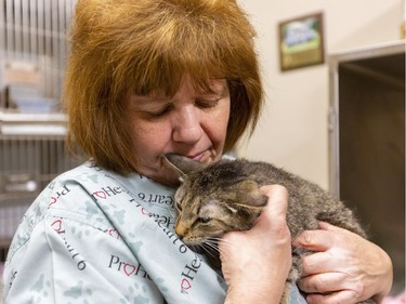 Bonnie Smith, of Saving Animals' Lives Together Rescue Organization, Monday Jan. 20, 2020 consoles one of the cats rescued from a fire that ravaged her home on Friday, killing four felines in her care. (Mike Hensen/The London Free Press)