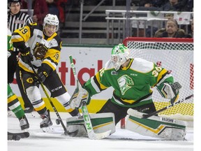 Brett Brochu of the Knights gets his pad down to stop Jan Mysak of the Bulldogs as the London Knights host the Hamilton Bulldogs at Budweiser Gardens on Friday Jan. 24, 2020.  (Mike Hensen/The London Free Press)