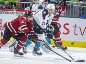 Jacob Roach of the Guelph Storm and Alec Regula of the London Knights fight for the puck in front of the Knights goal in the first period of their Sunday afternoon at Budweiser Gardens in London. Photograph taken on Sunday January 26, 2020. Mike Hensen/The London Free Press/Postmedia Network