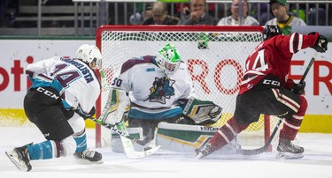 London Knights goalie Brett Brochu makes a pad save on Cedric Ralph of the Guelph Storm, who gets in tight while Luke Evangelista is in hot pursuit in the first period of their Sunday afternoon at Budweiser Gardens in London. Photograph taken on Sunday January 26, 2020. Mike Hensen/The London Free Press/Postmedia Network