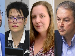 From left: Amir Farahi, Maureen Cassidy, Virginia Ridley and Paul Van Meerbergen (File photos)