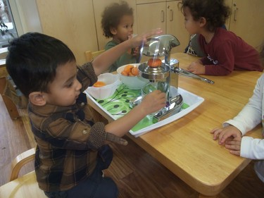 During Montessori Academy of London's March Break for its Toddler students in 2019, the students had a great time in their familiar learning environment. As part of their Practical Life Skills, they made smoothies and popsicles, fresh squeezed orange juice and juiced vegetables. The children especially loved pushing the handle down on the juicer and watching the juice come out the bottom.