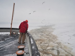 Michael McKay, executive director of the Great Lakes Institute for Environmental Research (GLIER) at the University of Windsor, looks at an ice-associated algal bloom from aboard the Canadian Coast Guard Ship Griffon in 2009.