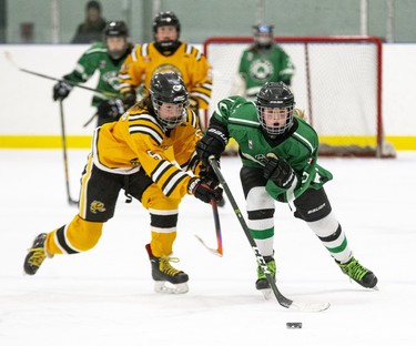 Kaitlyn Martelle of the Lucan Irish  breaks away from Avery Hands of the Sarnia Lady Sting during the peewee B championship game at the 30th Annual London Devilettes Tournament in London on Sunday. (Derek Ruttan/The London Free Press)
