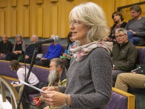 Mary Ann Hodge spoke during a meeting of the Planning and Environment committee at City Hall during discussions of the Victoria Park Secondary Plan in council chambers in London, Ont.  (Mike Hensen/The London Free Press)