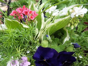 Tillsonburg Horticultural Society held its annual Garden Auction. (Chris Abbott/Postmedia Network)