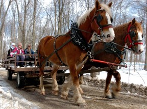 Kinsmen Fanshawe Sugar Bush. File photo