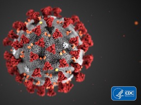 Microscopic image of the noval coronavirus