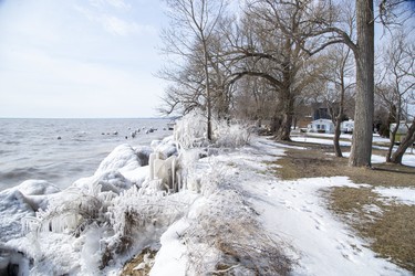 Ice covers everything in the Lake Erie splash zone beside Erie Shore Drive in Chatham-Kent, Ont. on Sunday March 1, 2020. Residents of Erie Shore Drive have a deadline of March 9 to vacate their properties so that repairs can be made to the dike on top of which the road sits. Derek Ruttan/The London Free Press/Postmedia Network