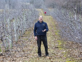 Rien Van Brenk owns Van Brenk's Fruit Farm and Nursery in Fingal, which is dependant upon migrant labour. He had seven workers come to the operation in January and also plans to use his teenaged children and their friends to get work done this spring. (Derek Ruttan/The London Free Press)