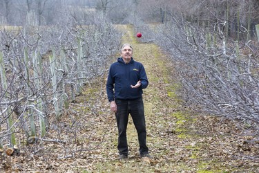 Rien Van Brenk owns Van Brenk's Fruit Farm and Nursery in Dutton/Dunwich, Ontario. His business is dependant upon migrant workers. Photo shot on Thursday March 19, 2020. (Derek Ruttan/The London Free Press)