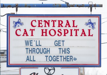 The Central Cat Hospital Adelaide Street in London, Ont. reminds us that people, with the help of their pets, will persevere on Sunday March 29, 2020. Derek Ruttan/The London Free Press/Postmedia Network