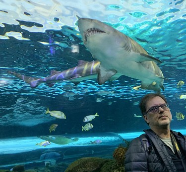 Wayne Newton discovers sharks and other captivating sea creatures are always at the ready for photos in Ripley's Aquarium. (BARBARA TAYLOR, The London Free Press)