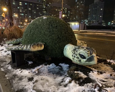 Sight-seeing in downtown Toronto can be fun day and night especially if you love turtles. (BARBARA TAYLOR, The London Free Press)