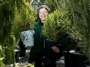 OTTAWA - APRIL 22, 2020 - Mary Shearman Reid, the owner of Green Thumb Garden Centre in Nepean, is offering curbside service to her customers and says her business is "steady" even amidst the COVID-19 pandemic.