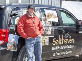 Brian Salt hasn't needed his "critter cruiser" as often to bring injured wildlife to Salthaven Wildlife Rehabilitation and Education Centre in Strathroy. Perhaps because people are indoors more, there haven't been as many calls. Salt and volunteers are working hard to make sure they don't transmit COVID-19 to any animals at the centre. (Derek Ruttan/The London Free Press)