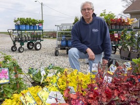 With May historically his busiest month, Bill Thorpe, of Backyard by Design near Ingersoll, wants a level playing field. Right now, he is reduced to curbside pickup which is slow, cumbersome and labour intensive, while grocery stores can allow people in to pick out their own plants.  Mike Hensen/The London Free Press